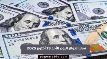 سعر الدولار اليوم الأحد 19 أكتوبر 2025 في البنوك المصرية وتغيراته وتأثيرها على السوق المحلي